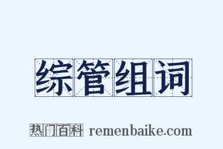 综管组词是什么意思的图片